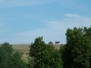 DSCF3126.JPG