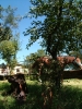 DSCF3137.JPG