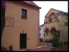 DSCF7306.JPG