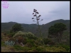 DSCF7312.JPG