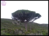 DSCF7313.JPG