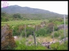 DSCF7314.JPG