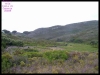 DSCF7316.JPG