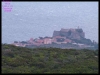 DSCF7319.JPG