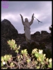 DSCF7331.JPG