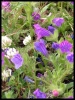 DSCF7334.JPG