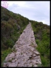 DSCF7337.JPG