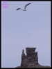 DSCF7341.JPG