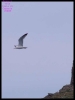DSCF7342.JPG