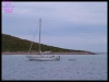 DSCF7344.JPG
