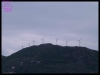 DSCF7345.JPG