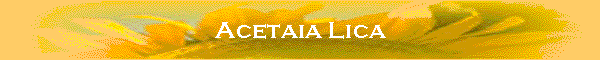 Acetaia Lica