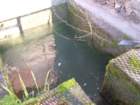 invasoconacqua_small.jpg