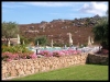 DSCF7833.JPG