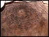 DSCF7860.JPG