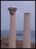 DSCF7902.JPG
