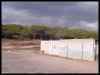 DSCF7912.JPG