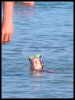 DSCF7960.JPG