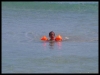 DSCF7966.JPG