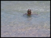DSCF7976.JPG