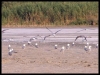 DSCF8003.JPG