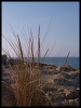 DSCF8004.JPG