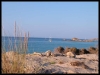 DSCF8005.JPG