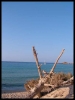 DSCF8009.JPG