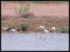 DSCF8069.JPG