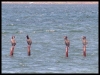 DSCF8074.JPG