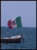 DSCF8075.JPG