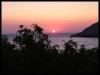 DSCF8116.JPG