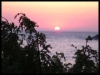 DSCF8118.JPG