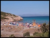 DSCF8139.JPG