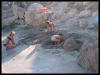 DSCF8154.JPG