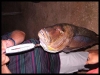 DSCF8167.JPG