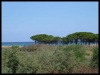 DSCF8203.JPG