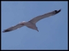 DSCF8255.JPG