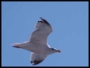 DSCF8260.JPG
