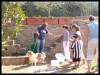 DSCF8269.JPG