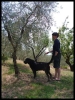 DSCF8280.JPG